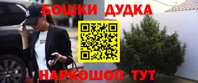 прущие крисы Обь