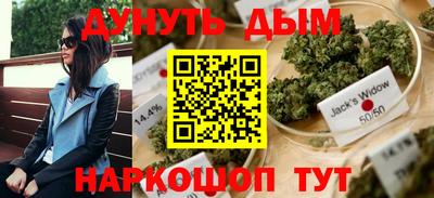амф Новодвинск