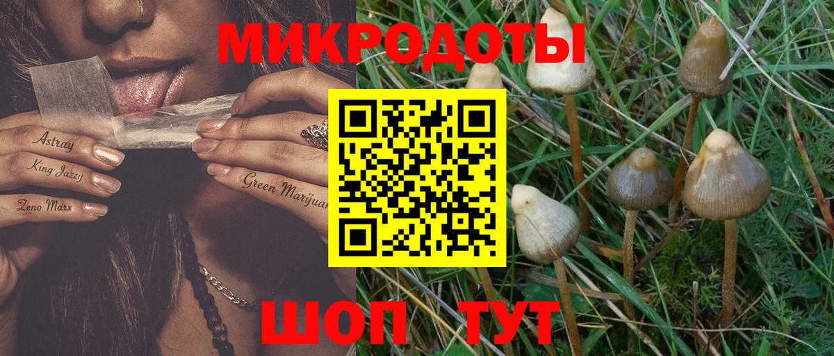 Сегежа  Псилоцибиновые грибы MAGIC MUSHROOMS  Псилоцибиновые грибы Magic Shrooms  Вход с VPN 
